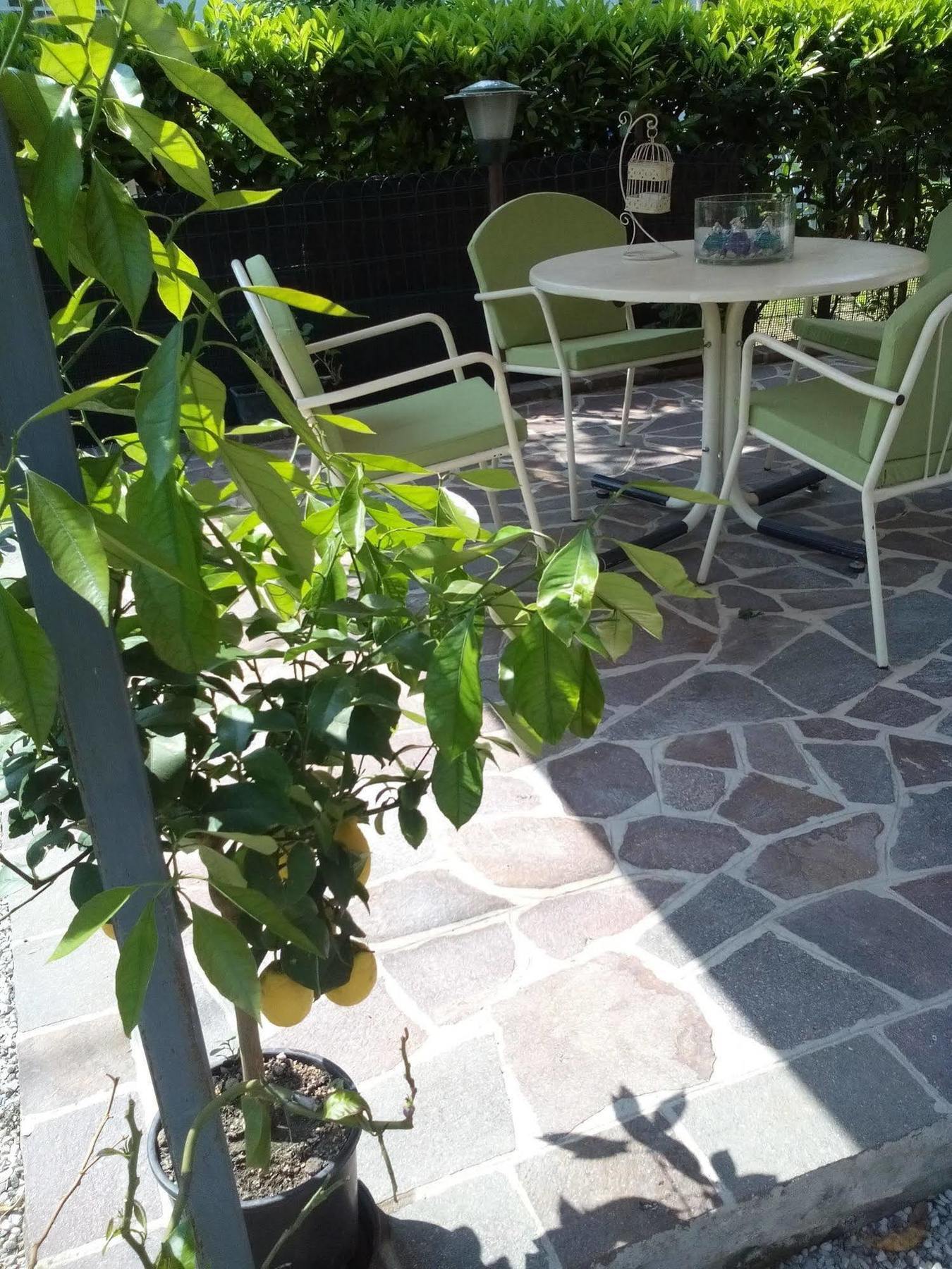 피아촐라 술 브렌타 Casa Emanuela B&B 외부 사진